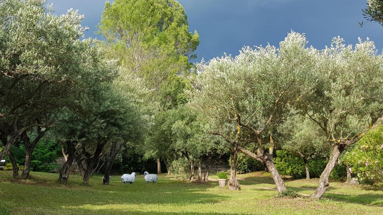 Pierres Blanches Bed & Breakfast Cotignac Exterior photo