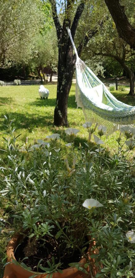 Pierres Blanches Bed & Breakfast Cotignac Exterior photo